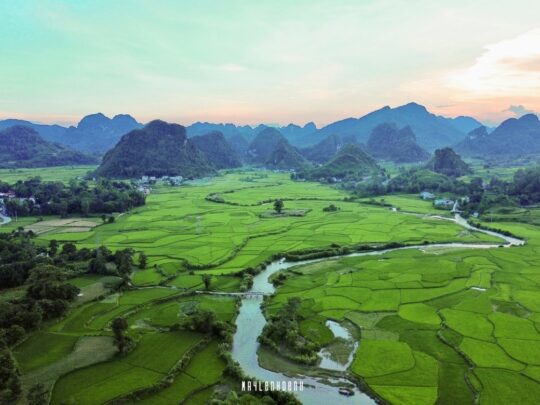 Global Success Stories Linking Farmers, Cooperatives, and Enterprises