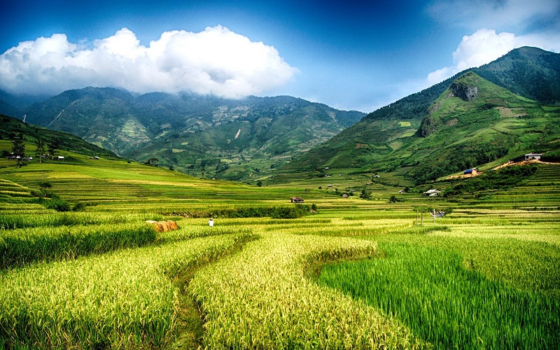 VCVF VTB Carbon Vietnam Fund 3