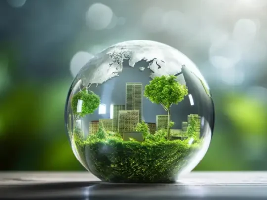 Lessons from EU ETS & California Cap-and-Trade for Vietnam