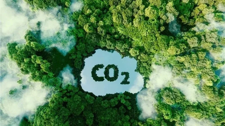 carbon market to take shape soon in Vietnam.jpg