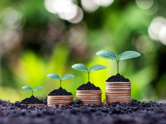 Green Agriculture and SDGs: Policy Insights for Vietnam